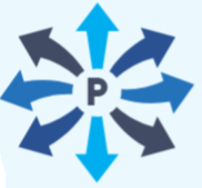 PIXEL INTEGRATED SOLUTIONS